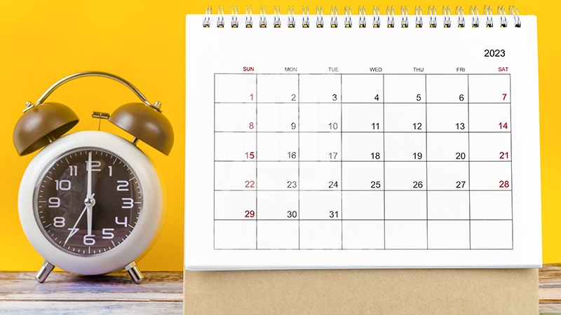 Морги Санкт-Петербурга: график работы в новогодние праздники 2022-2023