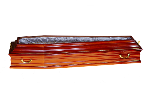 Сириус Ковид