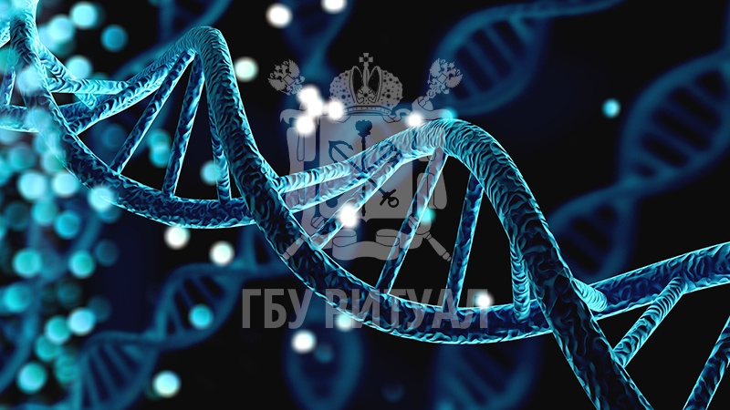 Влияние генетики на преждевременную смерть