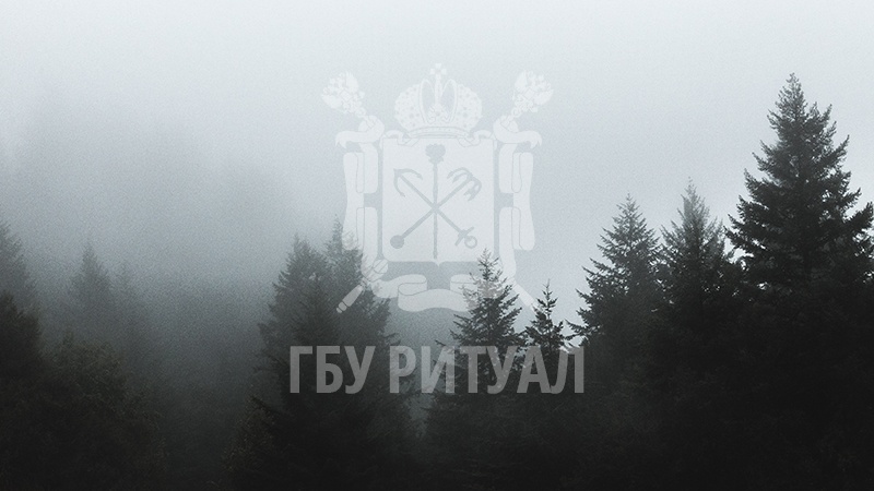 Феномен осознания собственной гибели, или почему умирающий чувствует приближение смерти